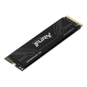 Kingston FURY Renegade G5 4TB PCIe 5.0 x4 NVMe M.2 2280 Gaming SSD