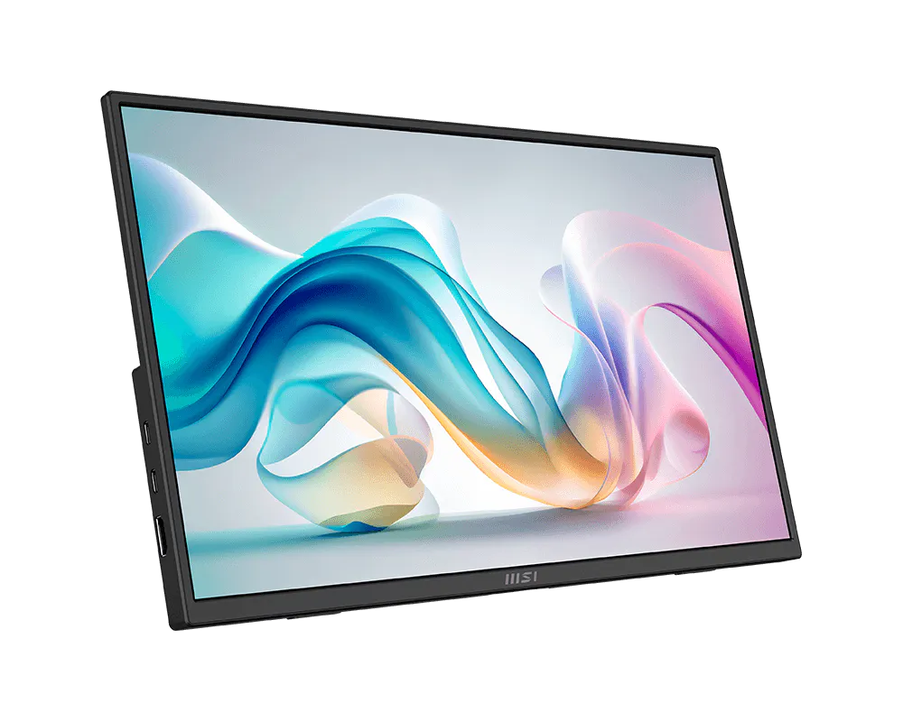 MSI PRO MP165 E6 15.6" Full HD IPS Portable Business Monitor 2 MSI PRO MP165 E6 15.6" Full HD IPS Portable Business Monitor